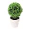 6.75" Premade Green Boxwood Ball Topiaries in Plastic Pots, 3ct. by Ashland®
